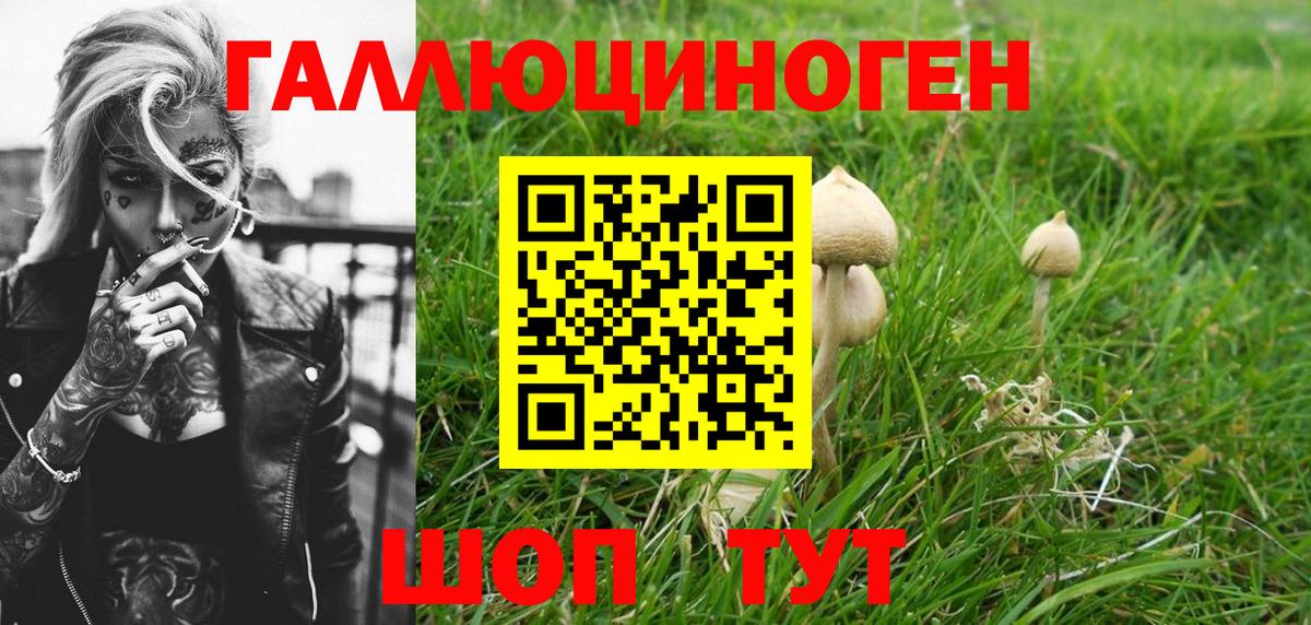 Меф Ефремов