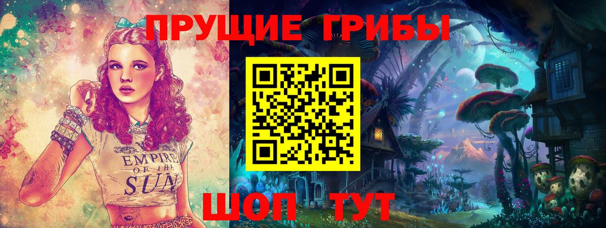 Ефремов  Галлюциногенные грибы мицелий  Вход с VPN 