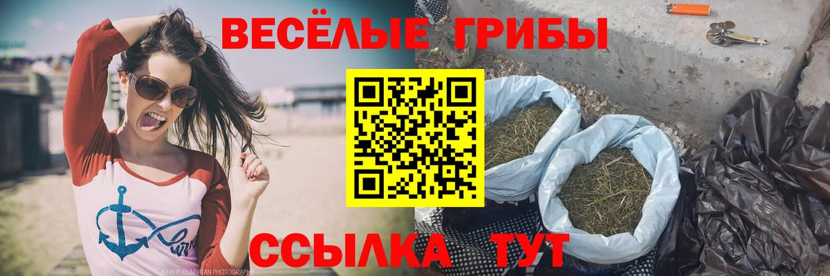 Галлюциногенные грибы Psilocybine cubensis Ефремов